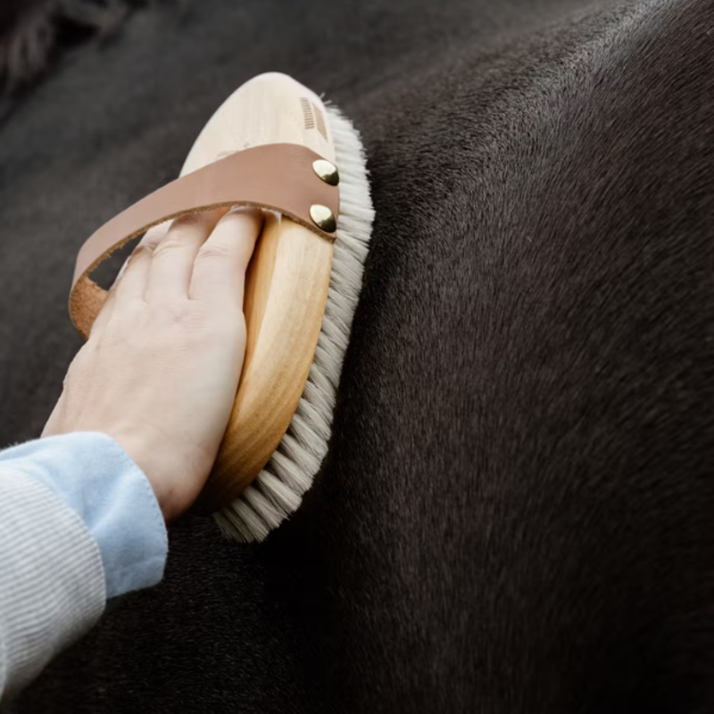 Kentucky Overall Brush Body Soft Shine-3