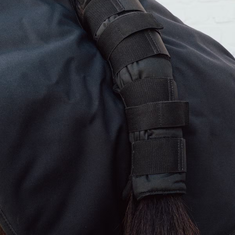 Kentucky Quarter Guard Black-1