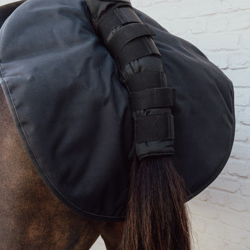 Kentucky Quarter Guard Black-2