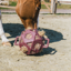 Kentucky Relax Horse Play and Hay Ball Bordeaux