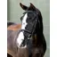 LeMieux Arika Classique Flash Bridle Black