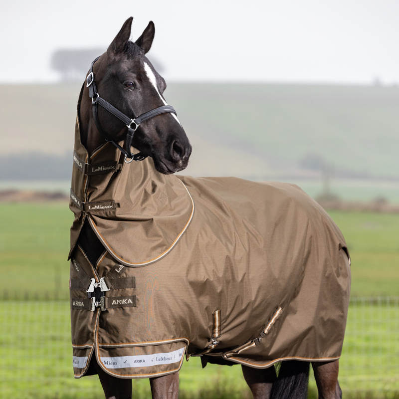 LeMieux Arika Ripstop 0g Turnout Rug Alpine-2