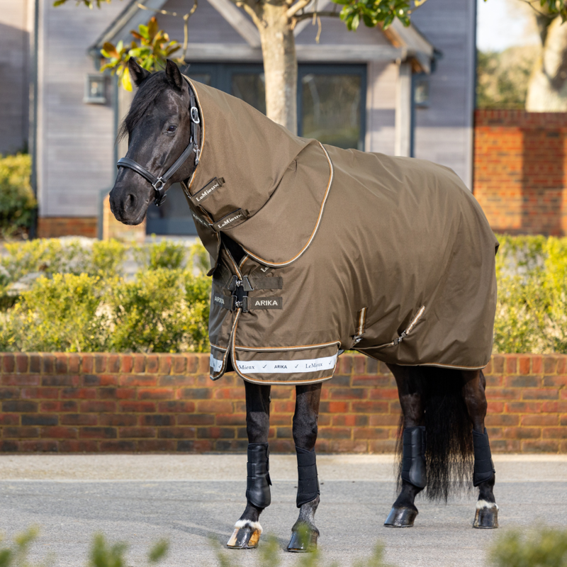 LeMieux Arika Ripstop 100g Turnout Rug Alpine-3