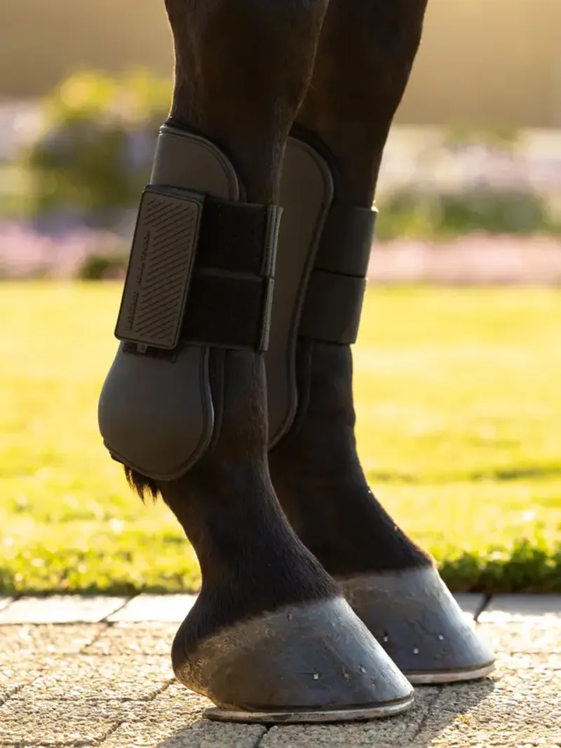 LeMieux Arika Tendon Boot Black-1