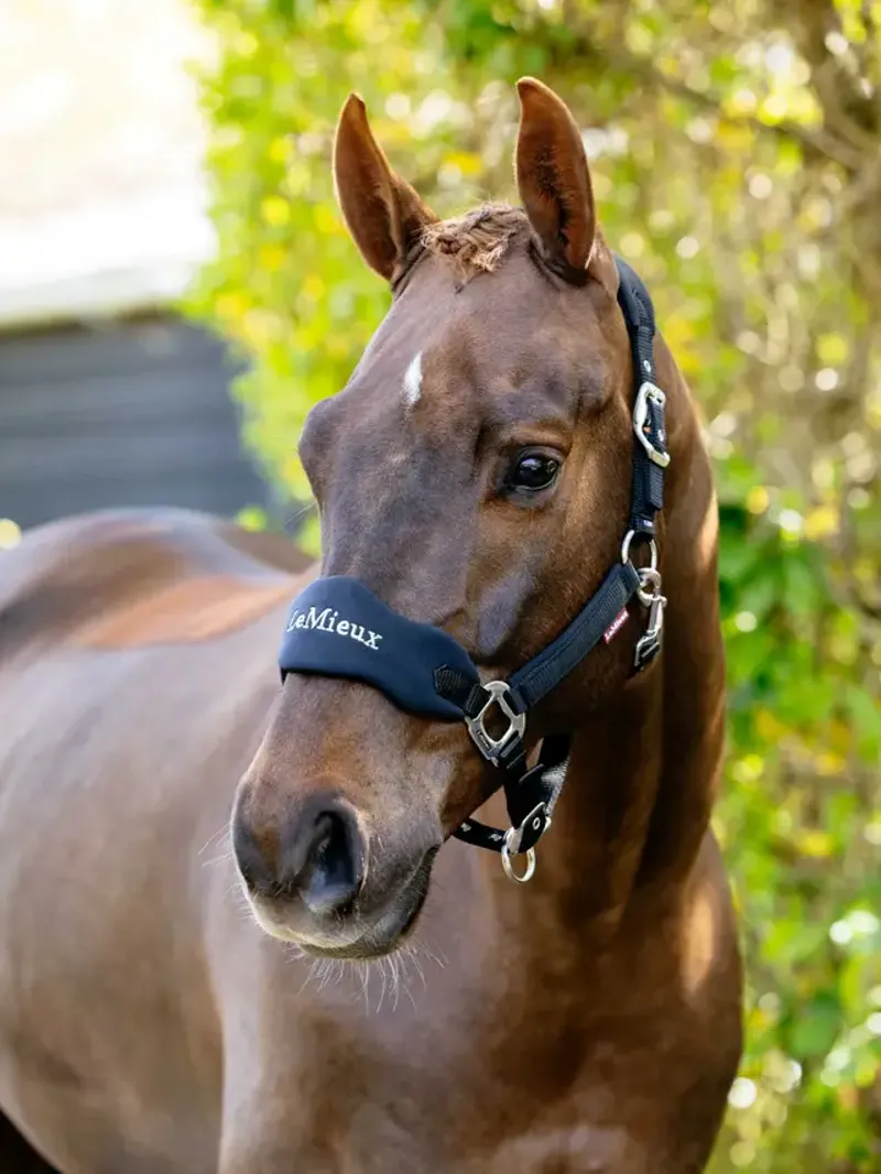 LeMieux Breakaway Vogue Headcollar Black-1