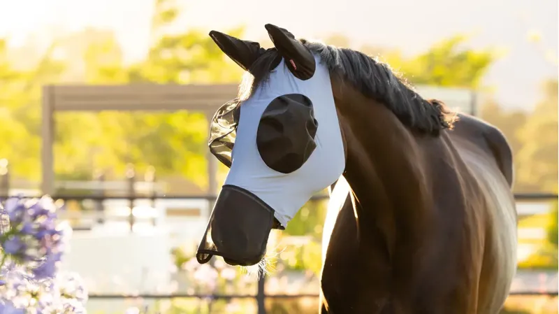 LeMieux Bug Relief Full Fly Mask Powder Blue