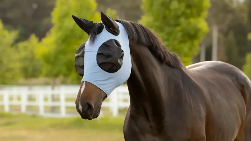 LeMieux Bug Relief Half Fly Mask Powder Blue-1