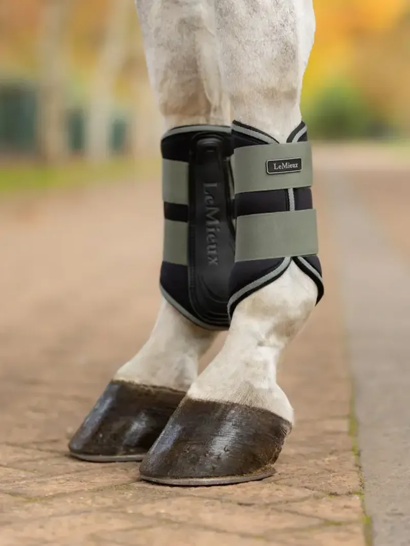 LeMieux Grafter Brushing Boots Rosemary-2