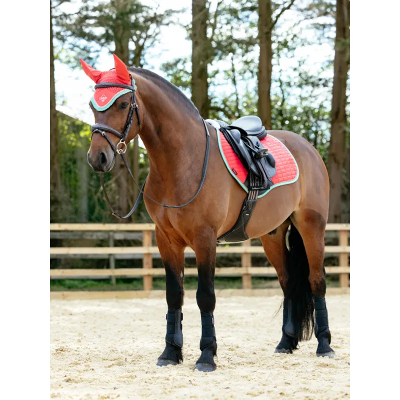 LeMieux Harlow Fly Hood Dusty Coral-1