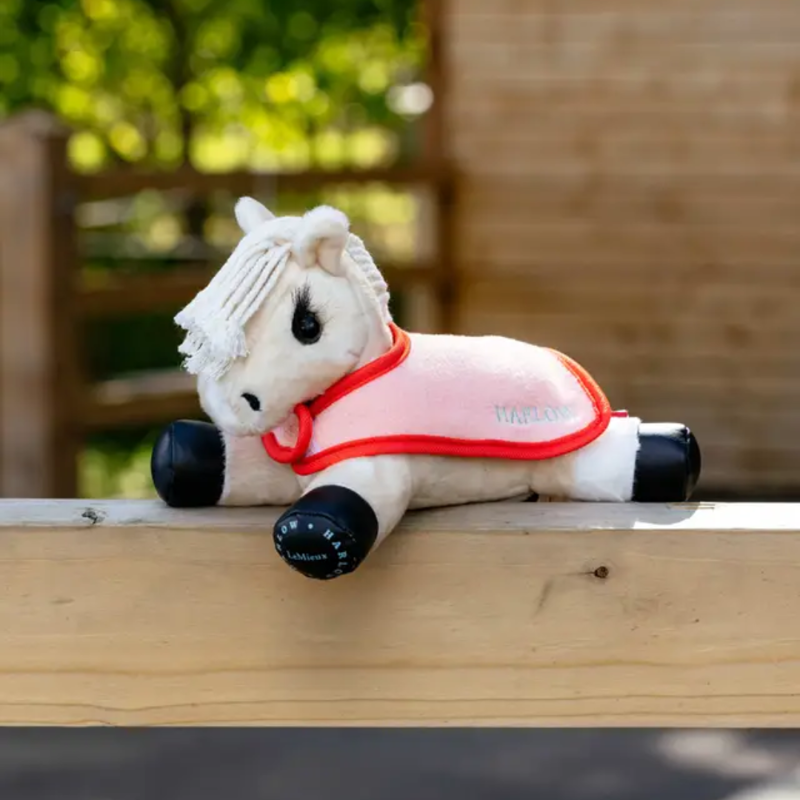 LeMieux Harlow Tiny Rugs 2 pack Mint And Coral Crush-1