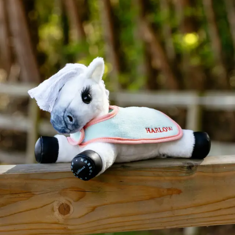 LeMieux Harlow Tiny Rugs 2 pack Mint And Coral Crush-2