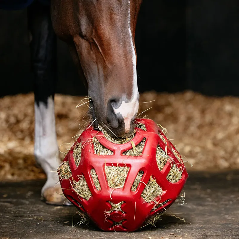 LeMieux Hay Ball Chilli One Size-1