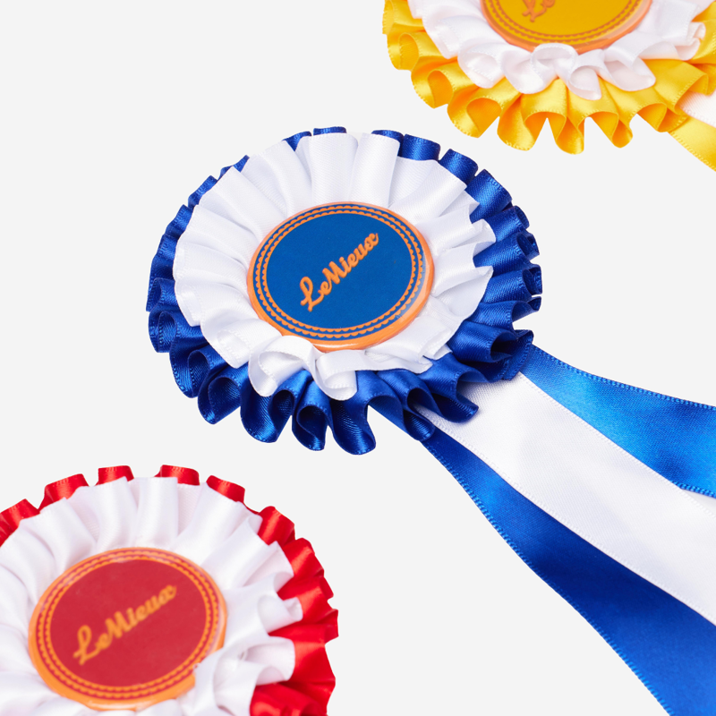 LeMieux Hobby Horse Rosette Pack Multi-1