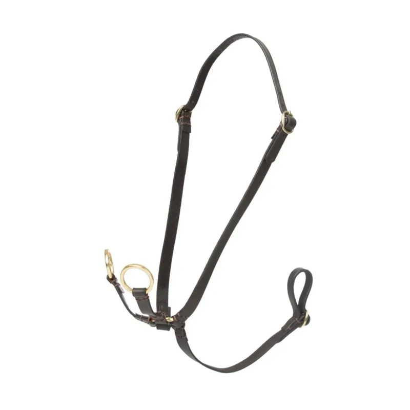 LeMieux Hobby Horse Running Martingale Brown