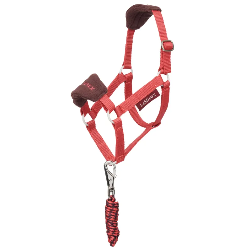 LeMieux Hobby Horse Vogue Headcollar and Leadrope Cranberry