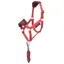 LeMieux Hobby Horse Vogue Headcollar and Leadrope Cranberry