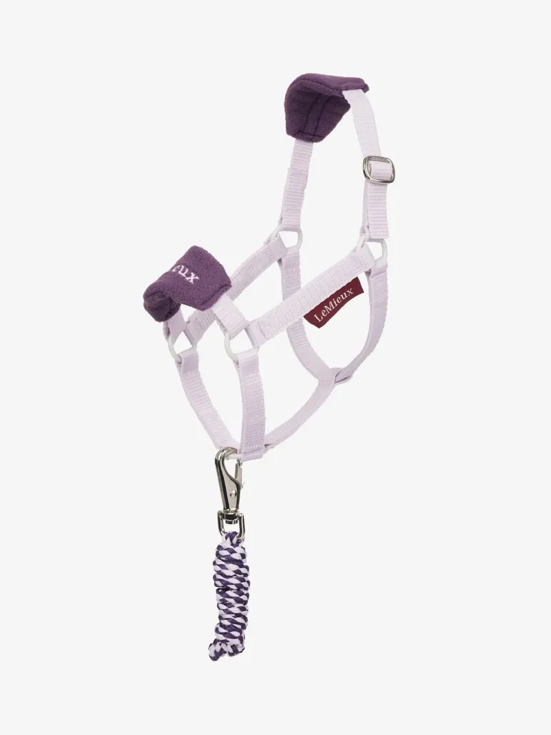 LeMieux Hobby Horse Vogue Headcollar and Leadrope Lilac