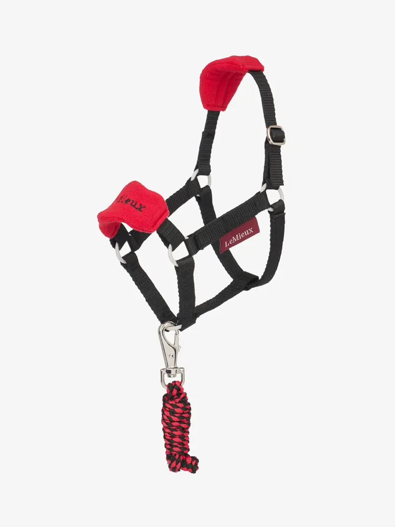 Lemieux Hobby Lemieux Horse Vogue Headcollar And Leadrope Chilli