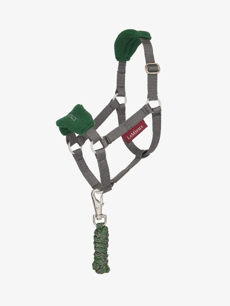 Lemieux Hobby Lemieux Horse Vogue Headcollar And Leadrope Hunter Green