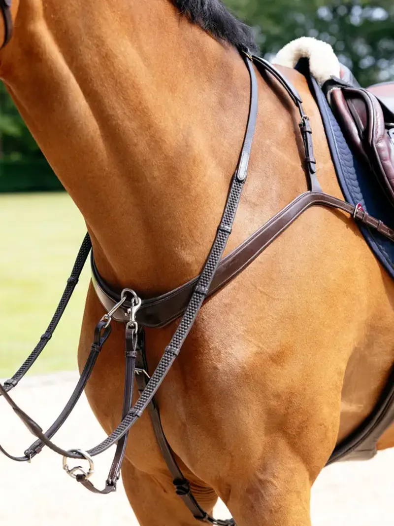 Lemieux Kudos  Bridge Breastplate Havana-1