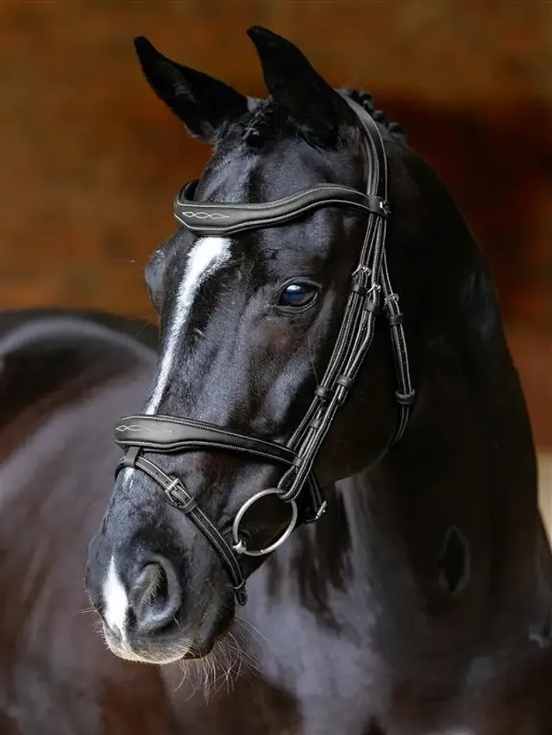 LeMieux Kudos Contour Flash Bridle Black-1