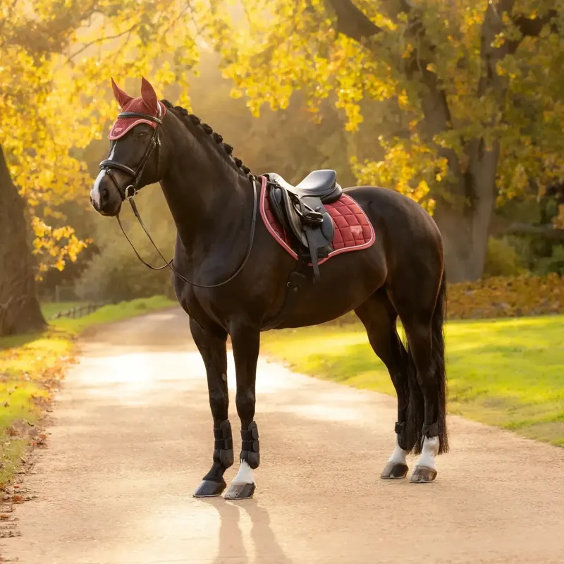 LeMieux Loire Classic General Purpose Square Russet-1