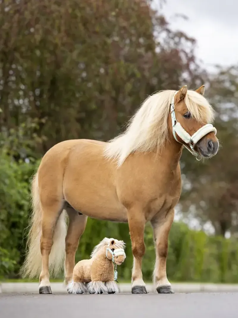 LeMieux Toy Pony Cloudy-2