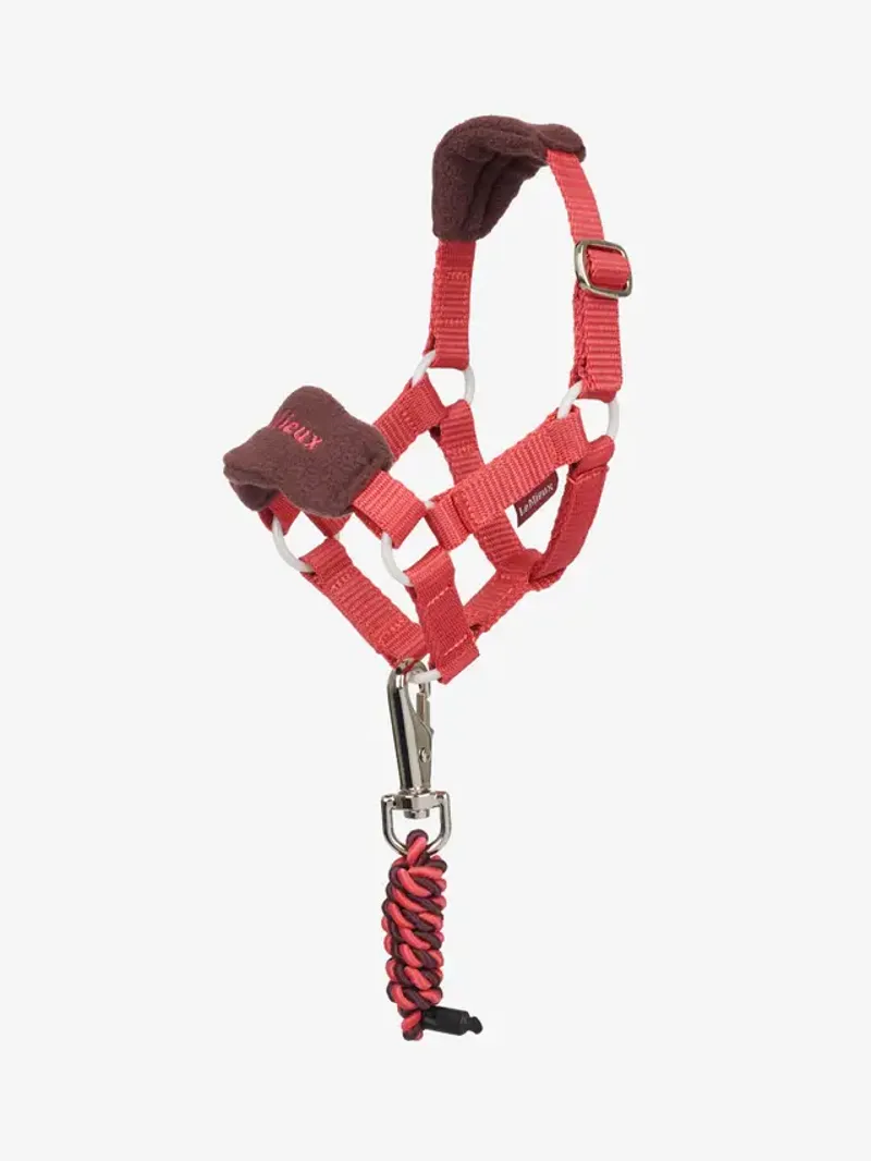 LeMieux Toy Pony Vogue Headcollar and Leadrope Cranberry