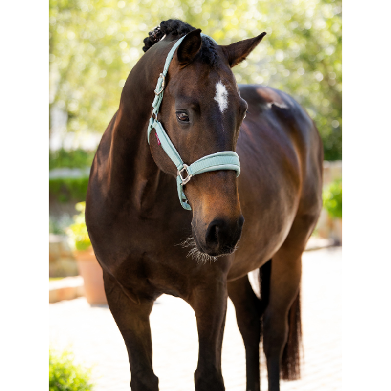LeMieux Versaillies Headcollar Aqua-1