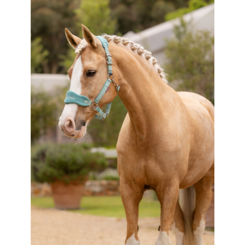 LeMieux Vogue Headcollar And Leadrope Lagoon-2