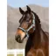 LeMieux Logo  Headcollar Glacier