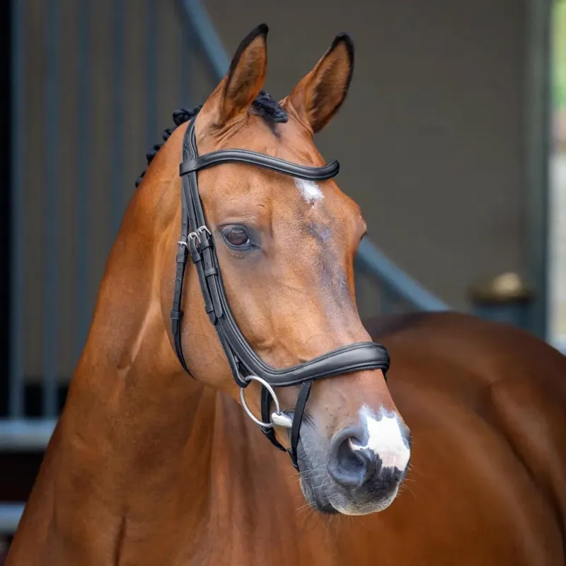 Lusso Ergonomic Curved Flash Bridle Black