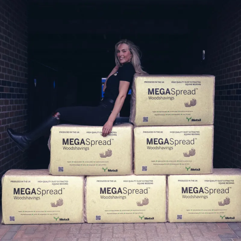 MegaFlake Woodshavings 22kg -2