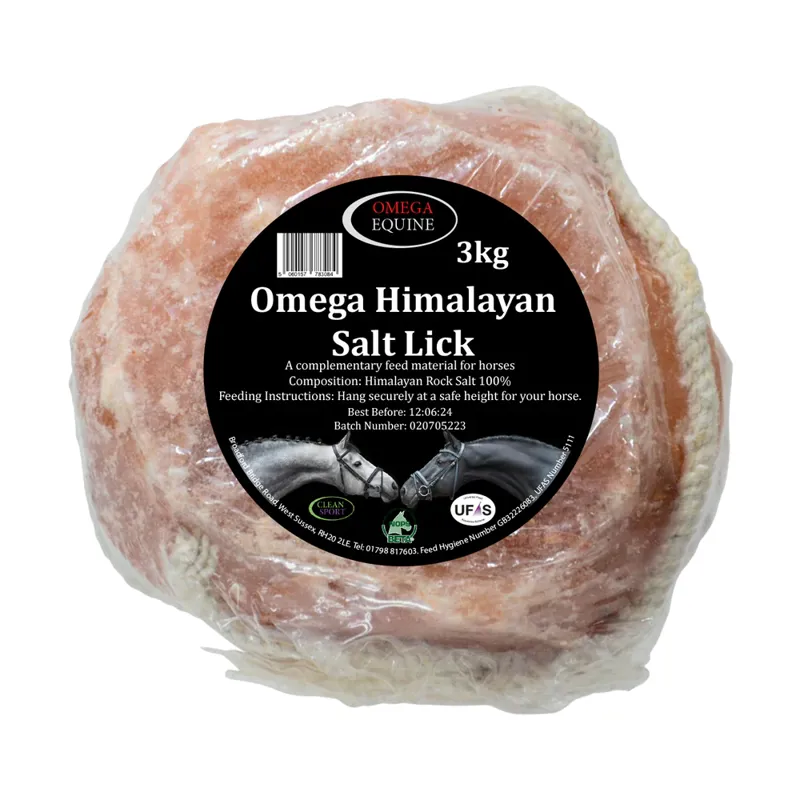 Omega Himalayan Salt Lick