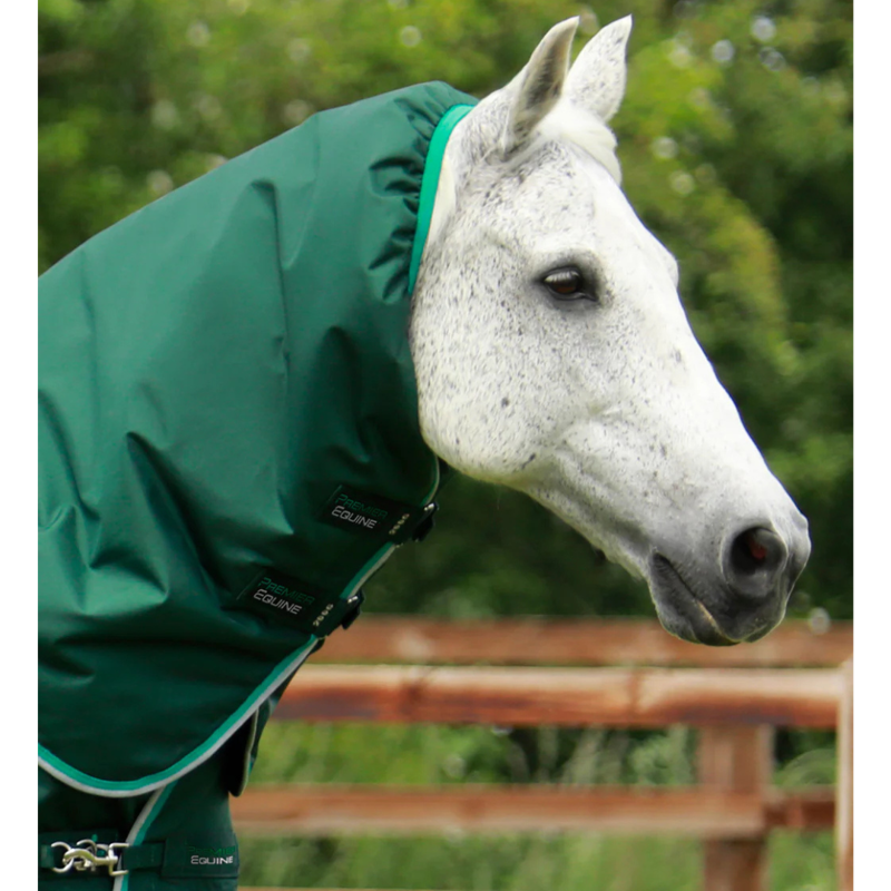 Premier Equine Buster 200g Turnout Rug With Snug-Fit Neck Cover Green-1