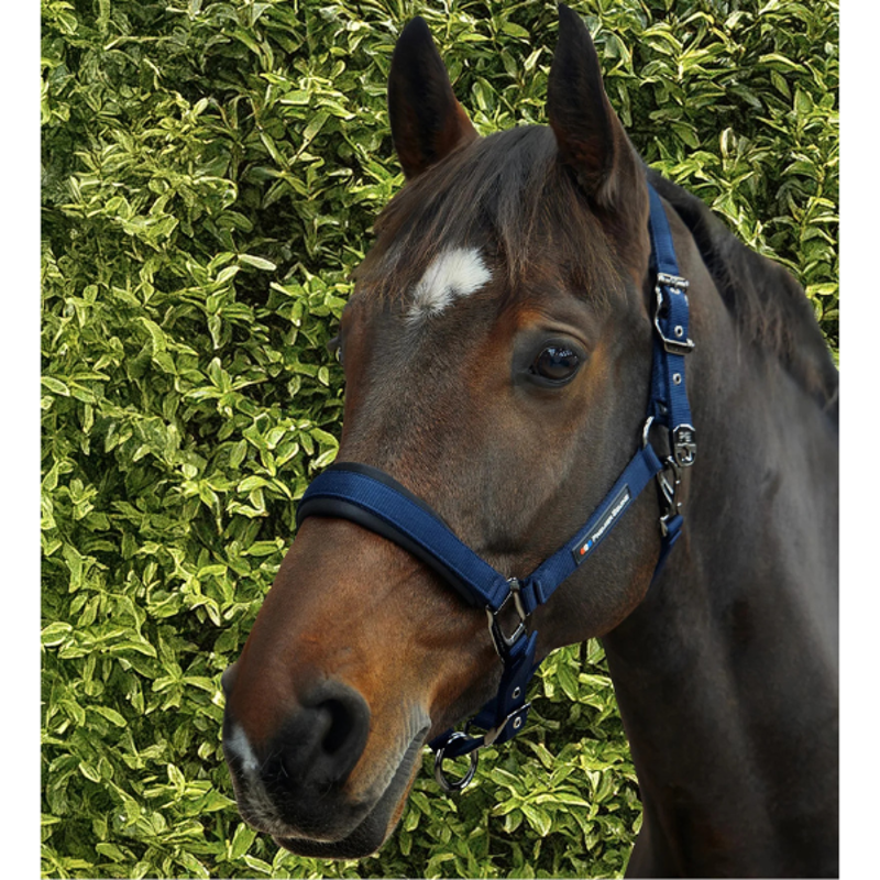 Premier Equine Corda Padded Head Collar with Lead Rope Navy-1