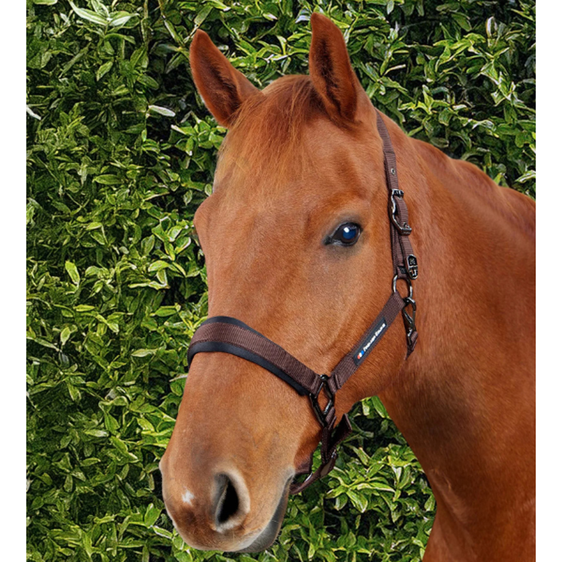 Premier Equine Corda Padded Head Collar with Lead Rope Brown-1