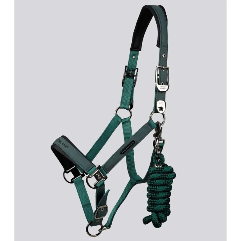 Premier Equine Duco Padded Head Collar with Lead Rope Green