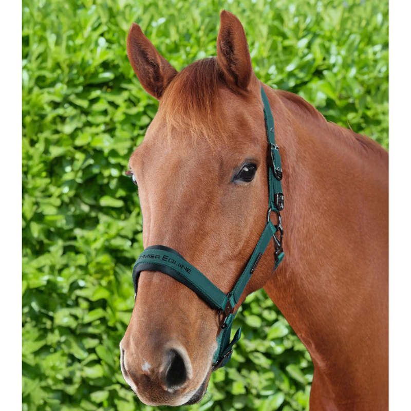 Premier Equine Duco Padded Head Collar with Lead Rope Green-1