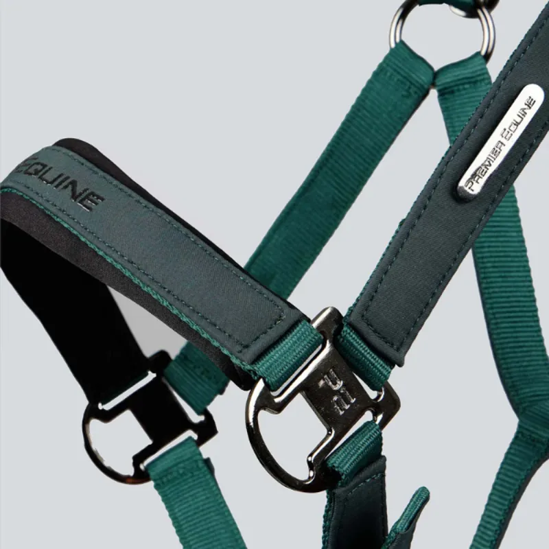 Premier Equine Duco Padded Head Collar with Lead Rope Green-2