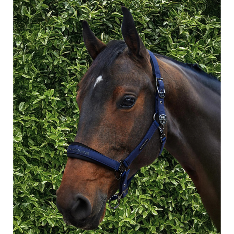 Premier Equine Duco Padded Head Collar with Lead Rope Navy-1
