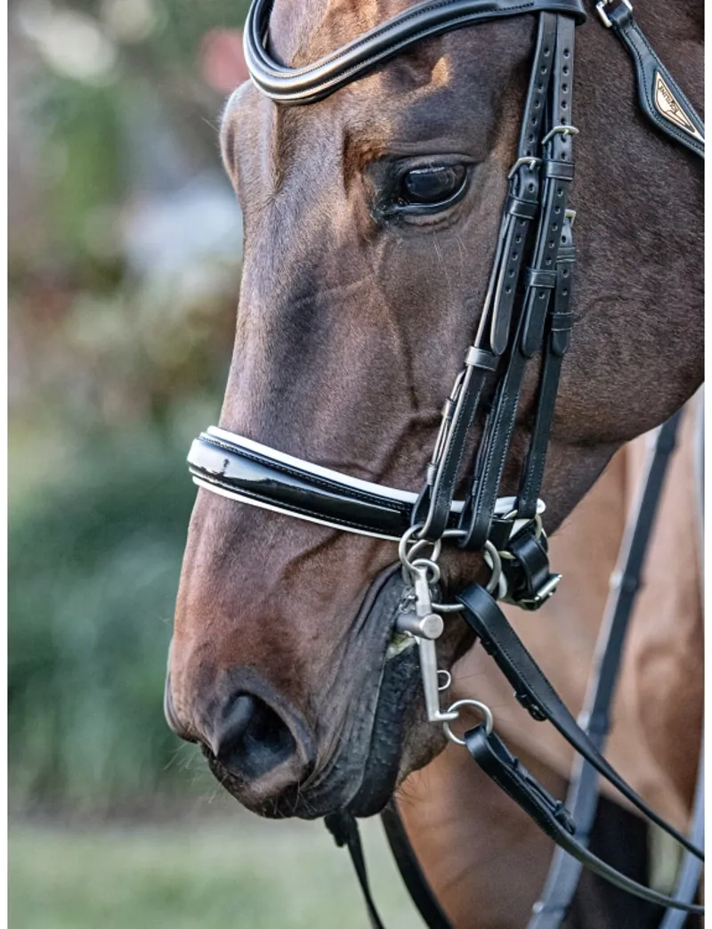 Equiline Patent Covered Crank Noseband With White Padding