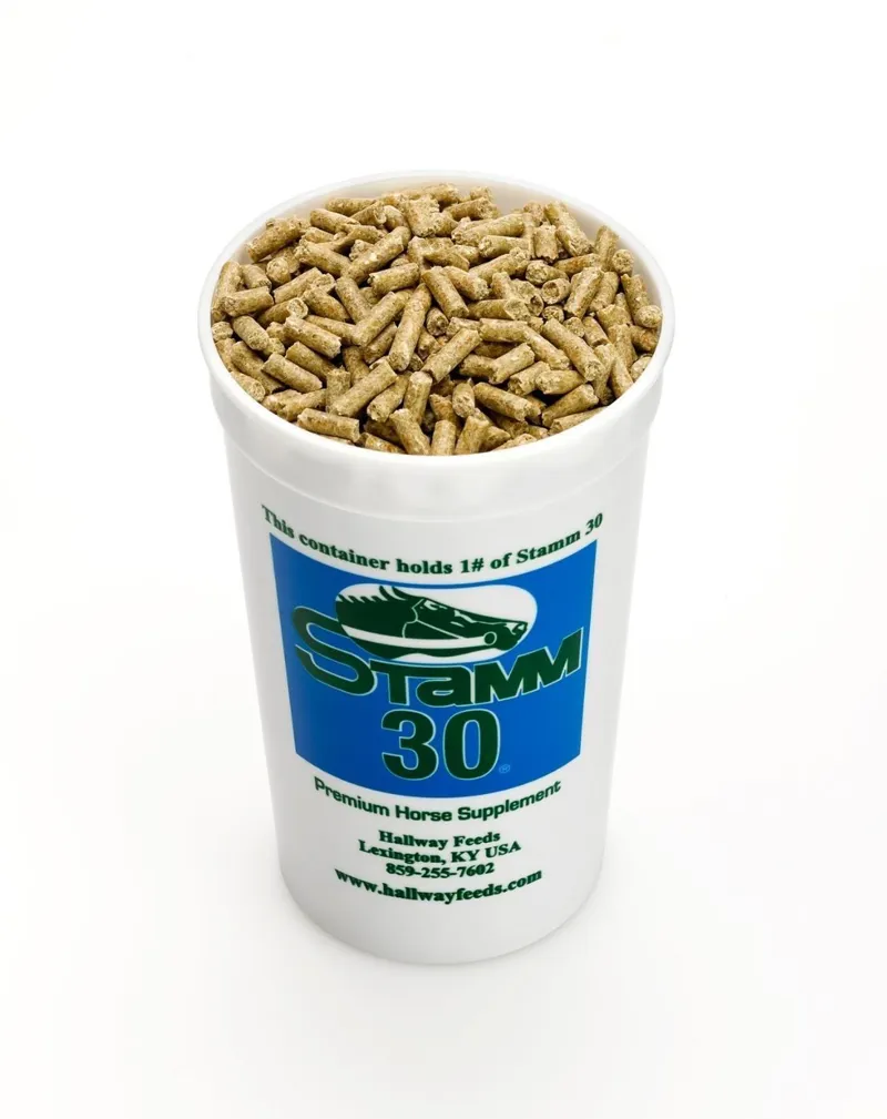 Saracen Stamm 30-1