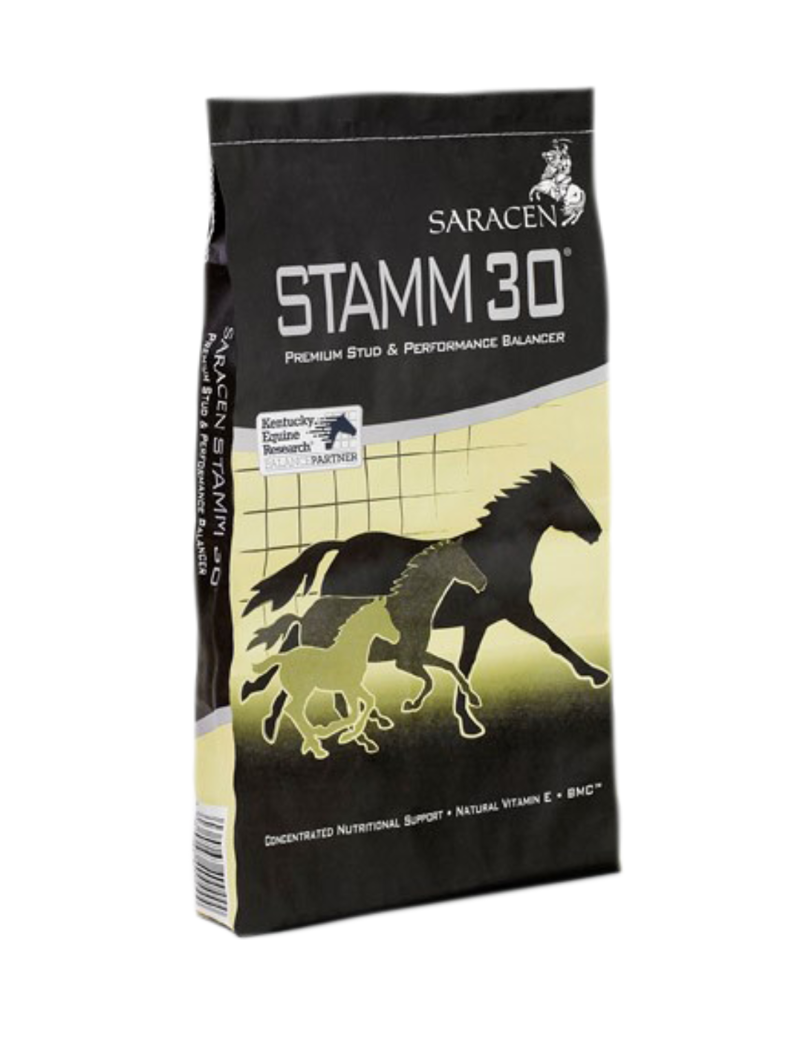 Saracen Stamm 30
