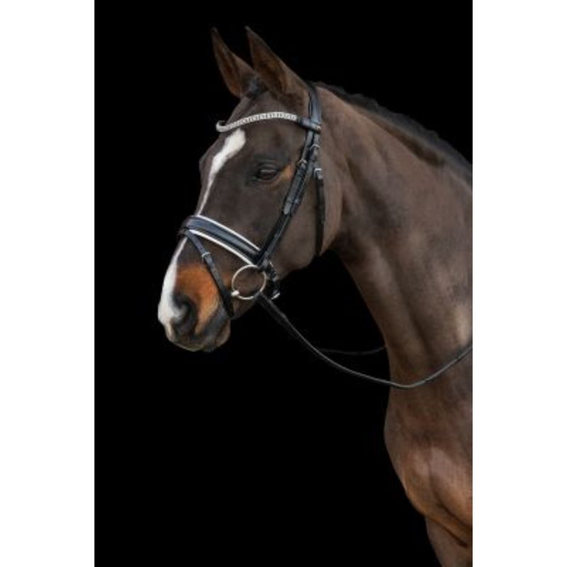 Schockemohle Malaga Bridle Silver-1