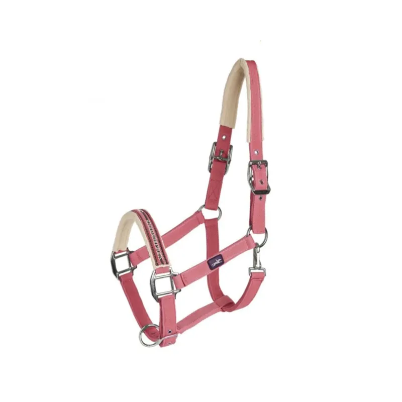 Schockemohle Memphis Style Headcollar Oxi Fire
