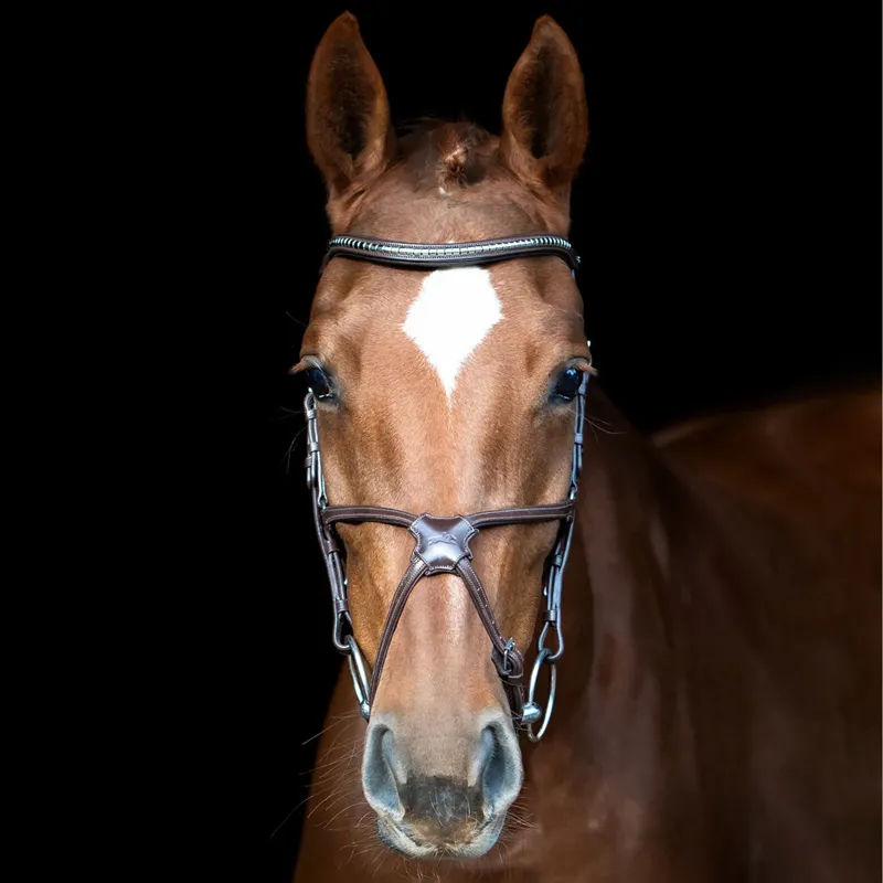 Schockemohle Rio Select Anatomical Bridle Espresso Silver-1