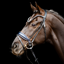 Schockemohle SP Luxury Dressage Bridle Black Blue