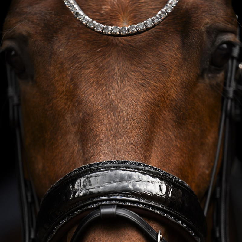 Schockemohle SP Luxury Dressage Bridle Black Croc-2