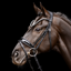 Schockemohle SP Luxury Dressage Bridle Black Croc